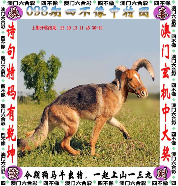 2025澳门精准正版免费四不像与2025新澳精准正版免費資料全面释义、解释与落实与警惕虚假宣传-全面释义、解释与落实