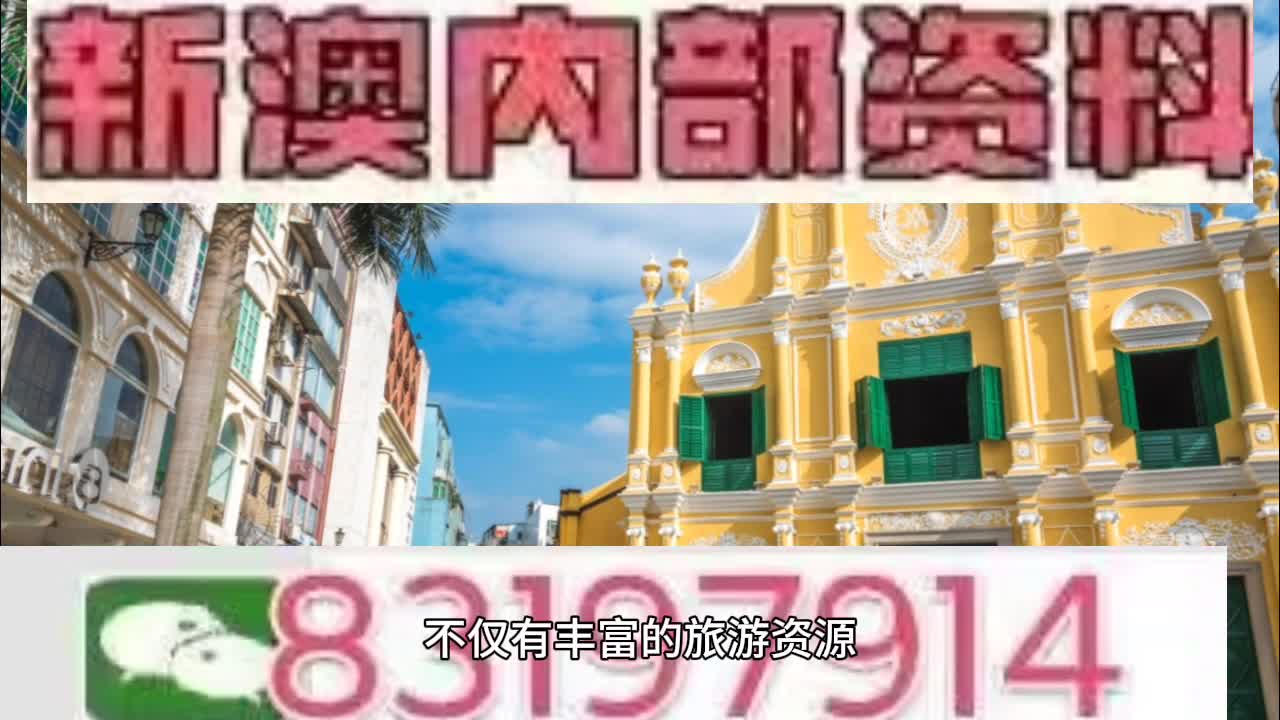 2025年新澳门天天免费精准大全，详细解答、解释与落实、